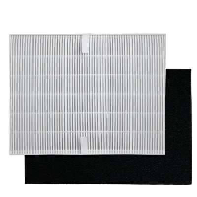 True HEPA filter with 4 activated carbon pre-filters compatible with WN115